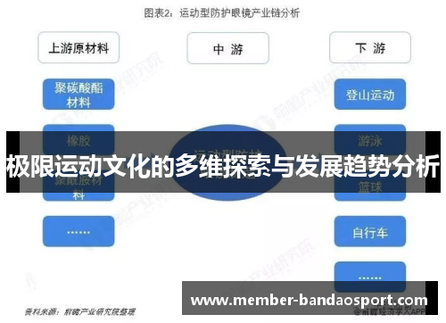 极限运动文化的多维探索与发展趋势分析