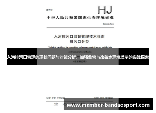 入河排污口管理的现状问题与对策分析：加强监管与改善水环境质量的实践探索