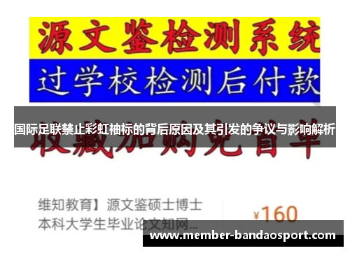 国际足联禁止彩虹袖标的背后原因及其引发的争议与影响解析