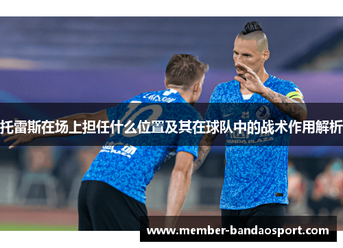 托雷斯在场上担任什么位置及其在球队中的战术作用解析