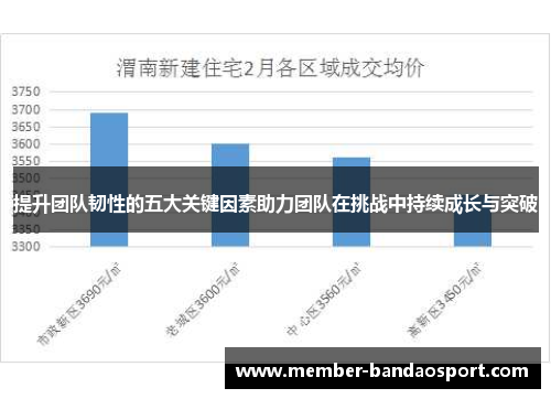 提升团队韧性的五大关键因素助力团队在挑战中持续成长与突破