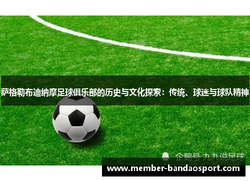 萨格勒布迪纳摩足球俱乐部的历史与文化探索：传统、球迷与球队精神