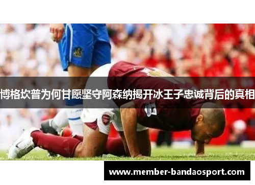 博格坎普为何甘愿坚守阿森纳揭开冰王子忠诚背后的真相 博格坎普为何甘愿坚守阿森纳揭开冰王子忠诚背后的真相
