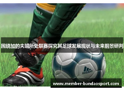 围绕加的夫城所处联赛探究其足球发展现状与未来前景研判 围绕加的夫城所处联赛探究其足球发展现状与未来前景研判