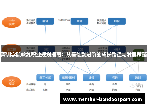 青训学院教练职业规划指南：从基础到进阶的成长路径与发展策略