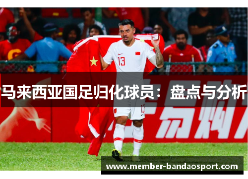 马来西亚国足归化球员：盘点与分析