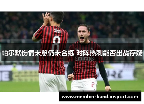 帕尔默伤情未愈仍未合练 对阵热刺能否出战存疑 帕尔默伤情未愈仍未合练 对阵热刺能否出战存疑