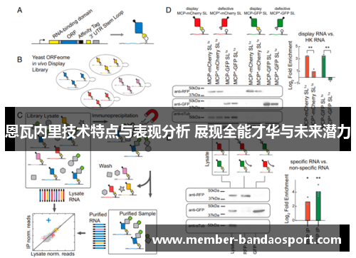 恩瓦内里技术特点与表现分析 展现全能才华与未来潜力
